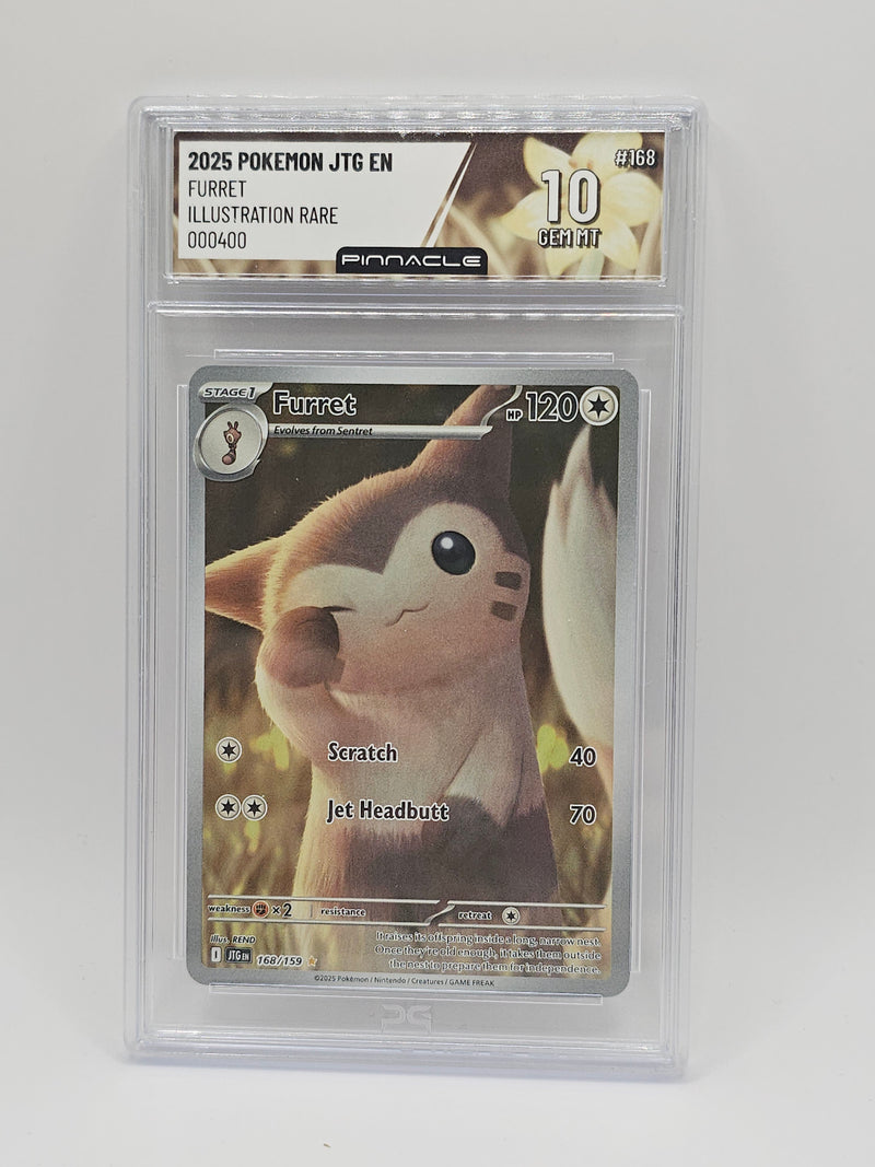 Furret Illustration Rare